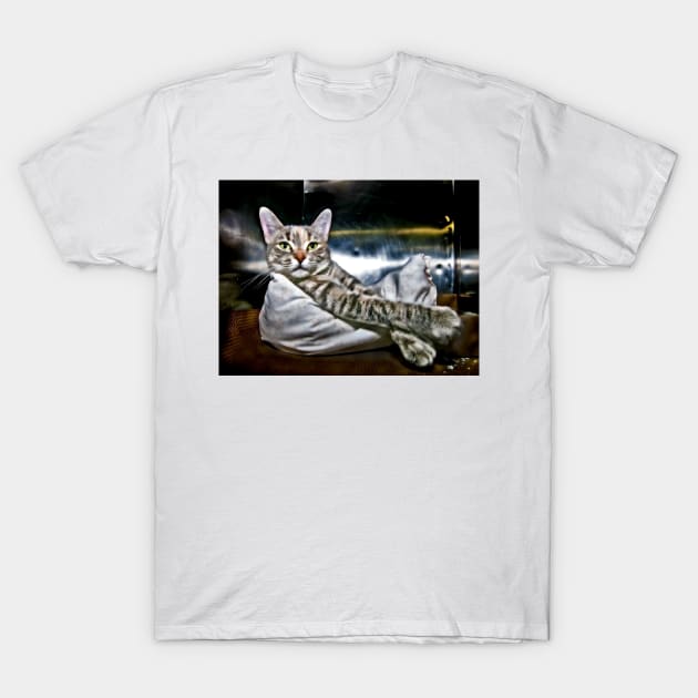 This Is Kitty! T-Shirt by markross